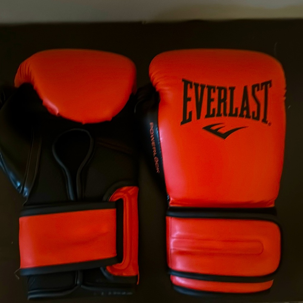 Everlast 16 ounce boxing gloves